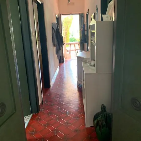 Cecilia * פולינאנו א מארה