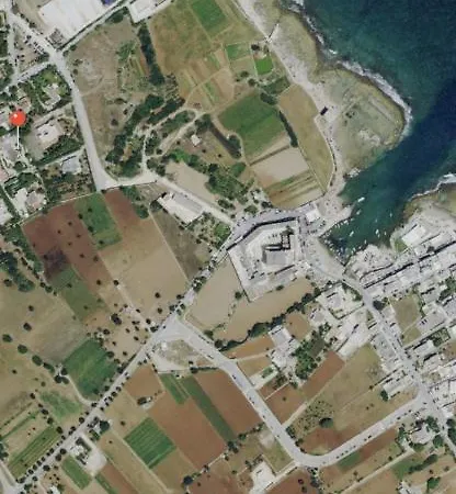 Cecilia * פולינאנו א מארה